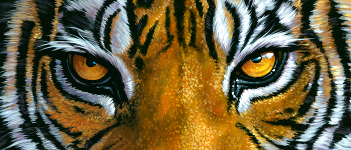 Oeil de tigre - Mes Indes Galantes - Lithothérapie - Shiva - Durga