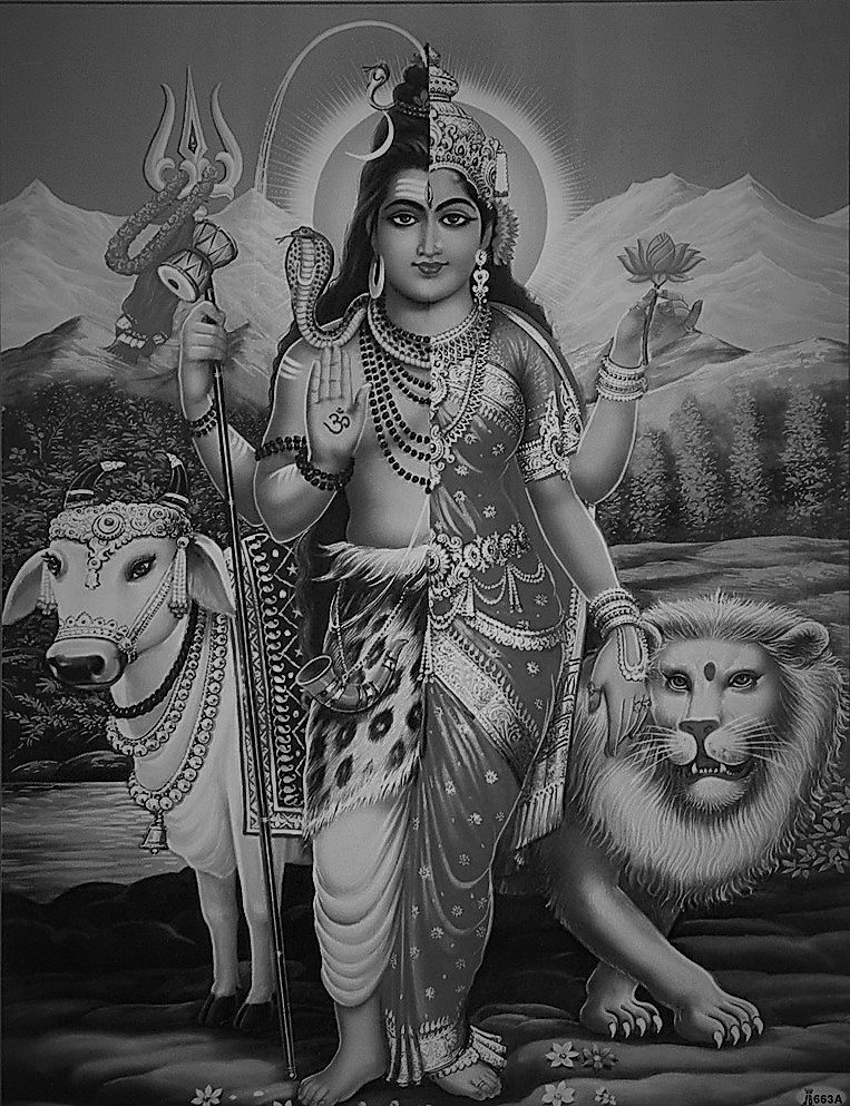 Ardhanarishvara dieu transgenre 