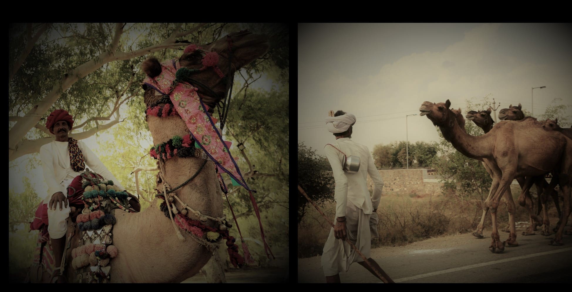 Inde sculpture sur os de chameau 