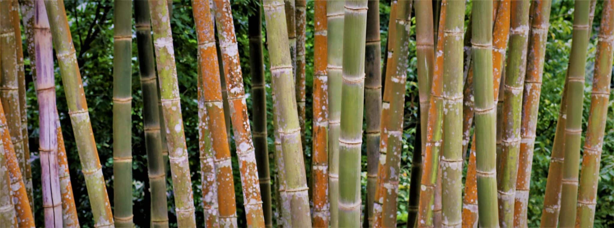 Bambou Carillon balinais Cloche à vent Chaîne à vent 
