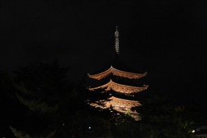 Nara (79)