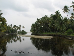 Kerala (29)