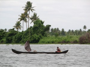 Kerala (465)